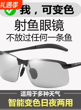 钓鱼眼镜看漂专用专业射鱼可见水下底三米偏光镜路亚开车墨镜男款