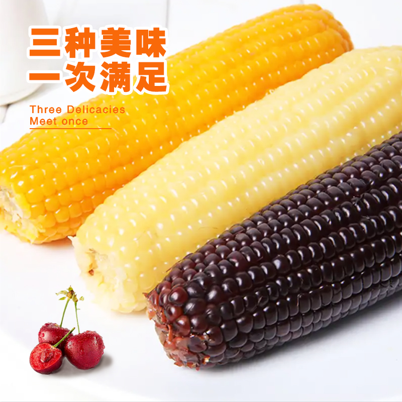 正宗东北糯玉米黏玉米粘苞米棒加热即食黑龙江2025