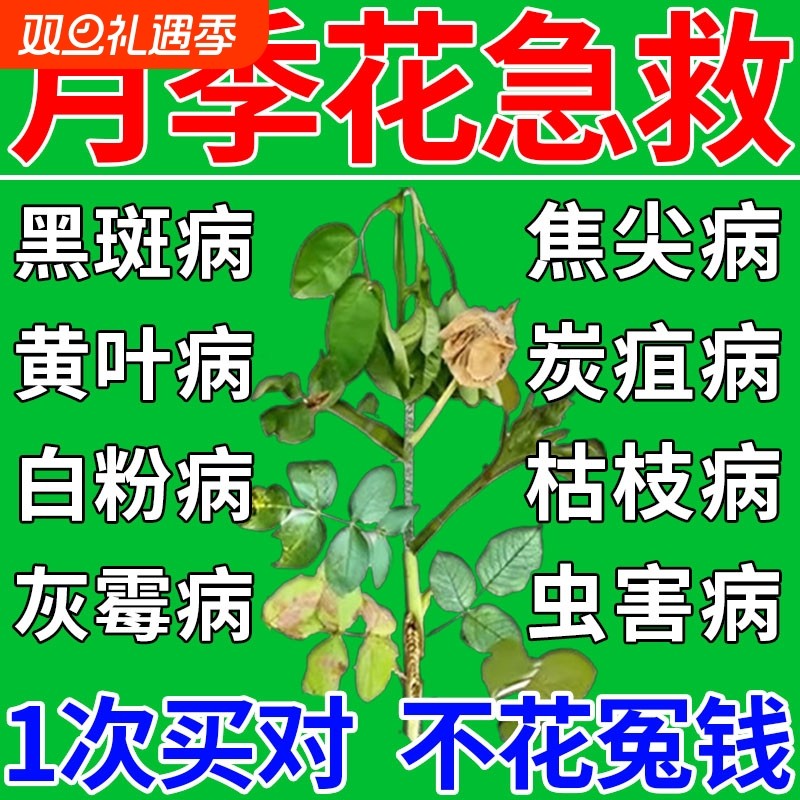 月季花病虫害常用药专治黑斑病白粉病发黑黄炭疽病专用药百病康