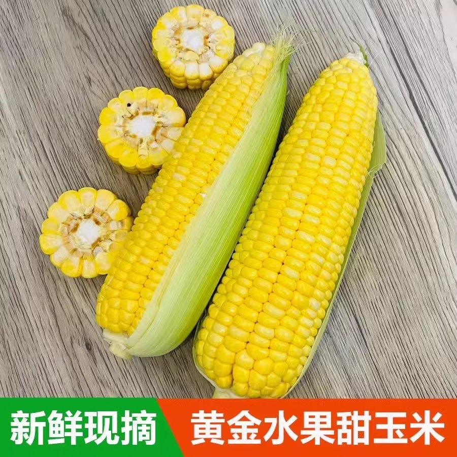 甜脆水果玉米高山黄金太阳花新鲜生吃低脂嫩苞谷带甜脆壳9斤甜脆,水产肉类/新鲜蔬果/熟食,新鲜玉米,淘宝优惠券,粉丝福利购,淘宝优惠卷