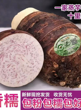 广西荔浦芋头新鲜香芋正宗槟榔芋现挖槟榔芋带皮货包邮