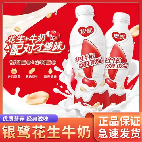 银鹭 花生牛奶营养双蛋白饮品450ml*10瓶早餐奶饮料儿童奶大瓶装