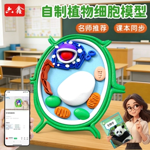 动植物细胞模型DIY手工制作真核材料包七年级初一生物作业细菌diy粘土自制初高中学生实验初中