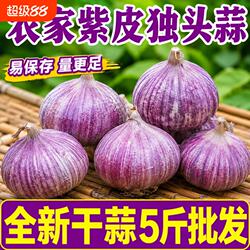 云南紫皮独头蒜大理独头干蒜独蒜批发正宗紫皮农家干大蒜新鲜蔬菜