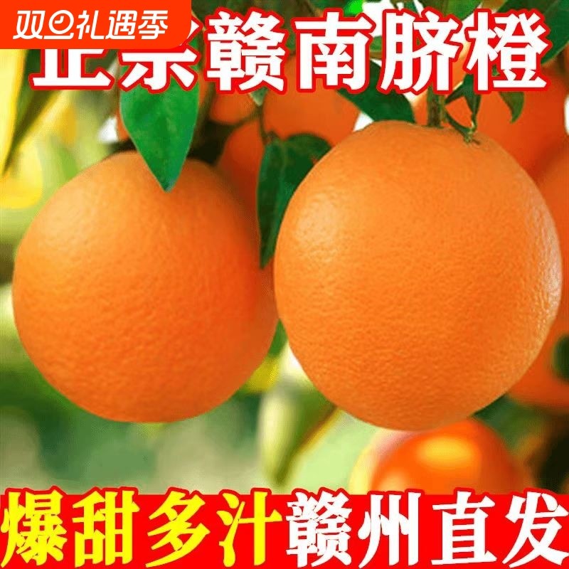 正宗橙子赣南脐橙新鲜江西赣州脐橙新鲜当季农场直发孕妇手剥橙