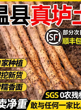 正宗垆土铁棍山药河南焦作温县特产铁杆山药产地直发新鲜5斤怀山