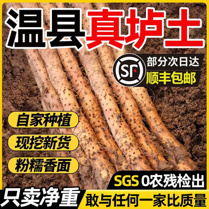 正宗垆土铁棍山药河南焦作温县特产铁杆山药产地新鲜5斤怀山次日