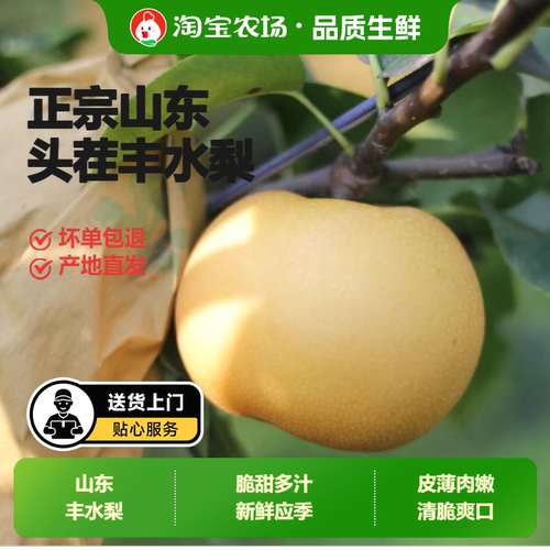 新鲜山东丰水梨正宗当季现摘皮薄核小送礼自用好水果应季脆甜农场