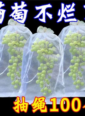 包葡萄套袋专用袋防虫防鸟水果套用的袋子莲雾保护网袋果子防雨