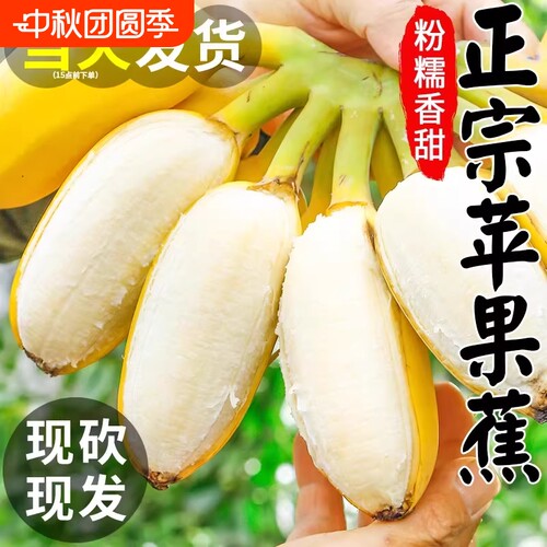 苹果蕉正宗香蕉小米蕉5斤新鲜水果当季整箱自然熟芭蕉包邮粉蕉9斤
