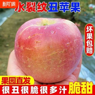 脆甜山西红富士运城冰糖心新鲜水果丑苹果批发应当季 整箱果园单果