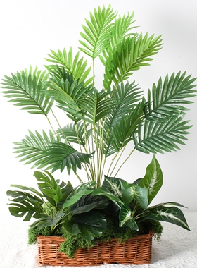 绿植盆栽龟背叶植物墙配材装饰