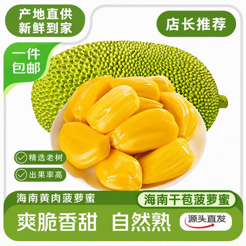 海南黄肉菠萝蜜新鲜水果波罗当季红三亚特产一整个干包老树热带
