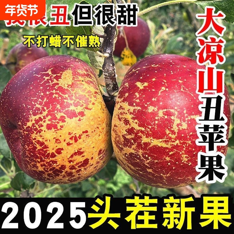 盐源直发四川丑苹果冰糖心新鲜水果盐源苹果脆甜现摘冬季年货节