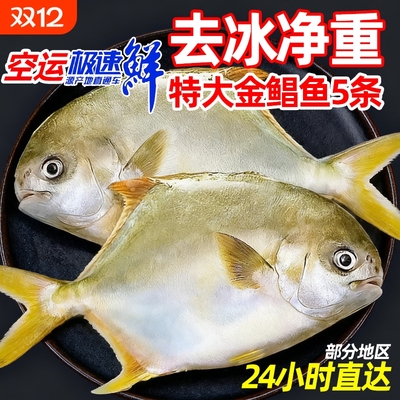 新鲜鲳鱼5斤5条速冻水产金昌