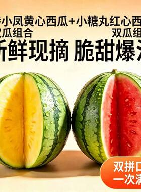 冰淇淋特小凤黄肉西瓜加小糖丸组合夏季家中必备应季水果新鲜现摘