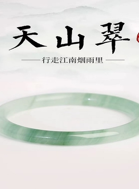 天山翠手镯手链精致女款细条玉镯仿冰透飘花款小众镯子半山细圆条