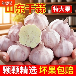 山东金乡大蒜1/3/5斤新鲜紫白皮干蒜大蒜头四六瓣特大蒜农家自种