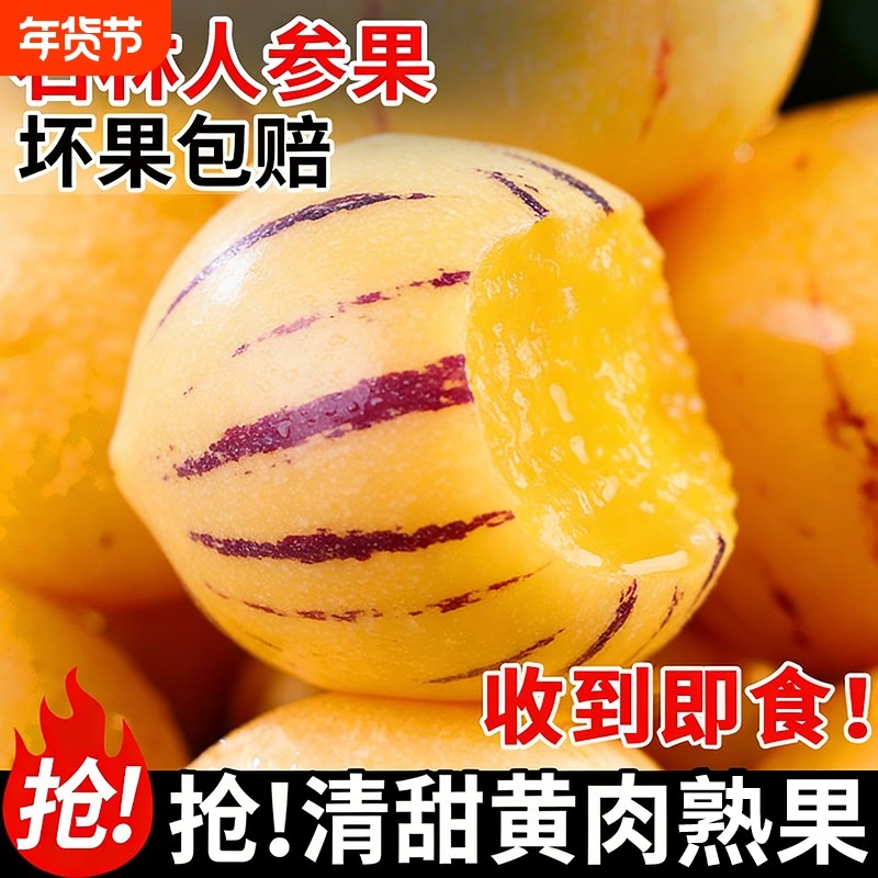人参果新鲜水果云南石林黄心圆果树上熟七彩人叁果应当季整箱包邮,水产肉类/新鲜蔬果/熟食,人参果,淘宝优惠券,粉丝福利购,淘宝优惠卷