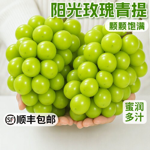 阳光玫瑰    葡萄脆甜青提无籽晴王葡萄新鲜冷链保鲜当季水果