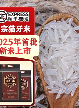 泰国香米大米猫牙米长粒香2025年新米正宗丝苗米10斤真空一袋籼米