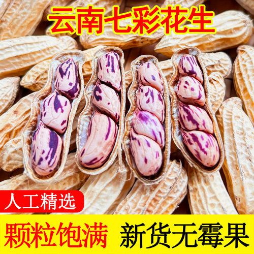 2025新货七彩花生云南普洱晒干五彩花带壳生花生零食新鲜特色油炸