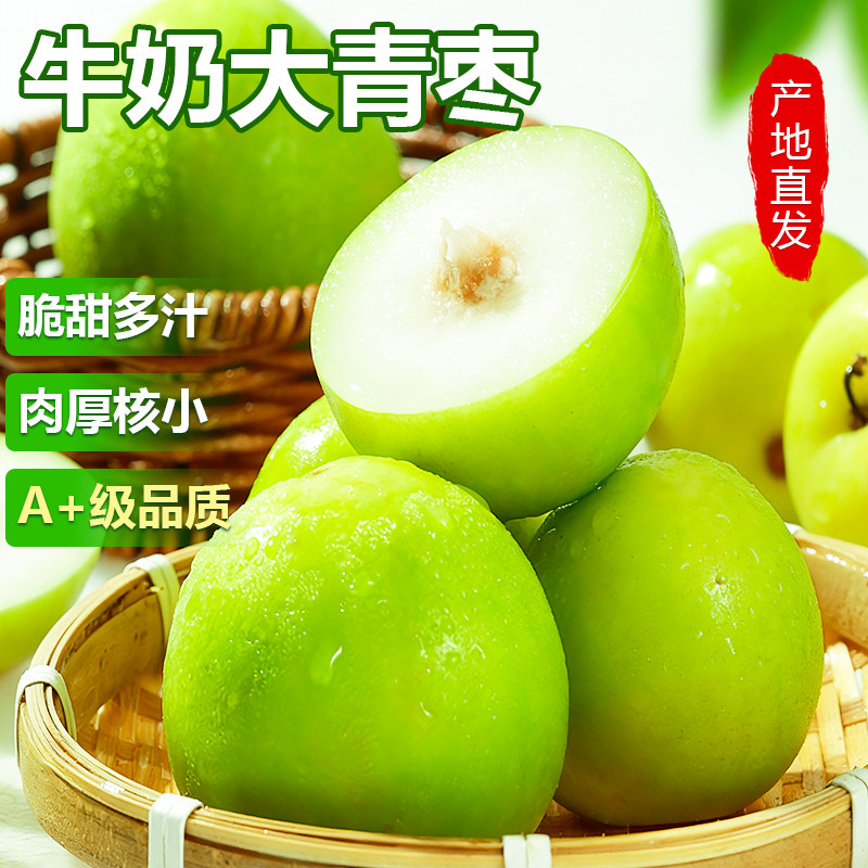 正宗云南牛奶大青枣脆甜新鲜水果苹果枣子冬枣当季整箱奶油脆枣,水产肉类/新鲜蔬果/熟食,枣,淘宝优惠券,粉丝福利购,淘宝优惠卷