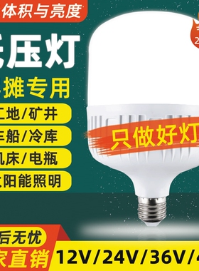 led低压灯12V24V36V48V60V交流直流节能灯E27螺口电瓶太阳能灯泡