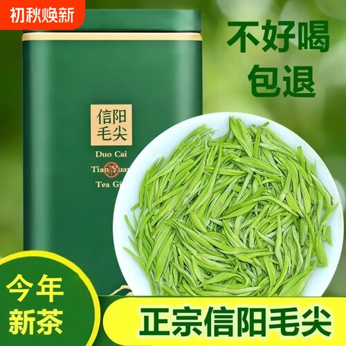 毛尖绿茶信阳毛尖2026新茶