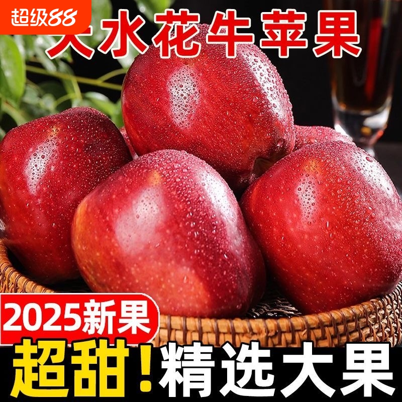 正宗甘肃天水花牛苹果新鲜蛇果小孩老人爱吃粉面沙甜水果宝宝辅食