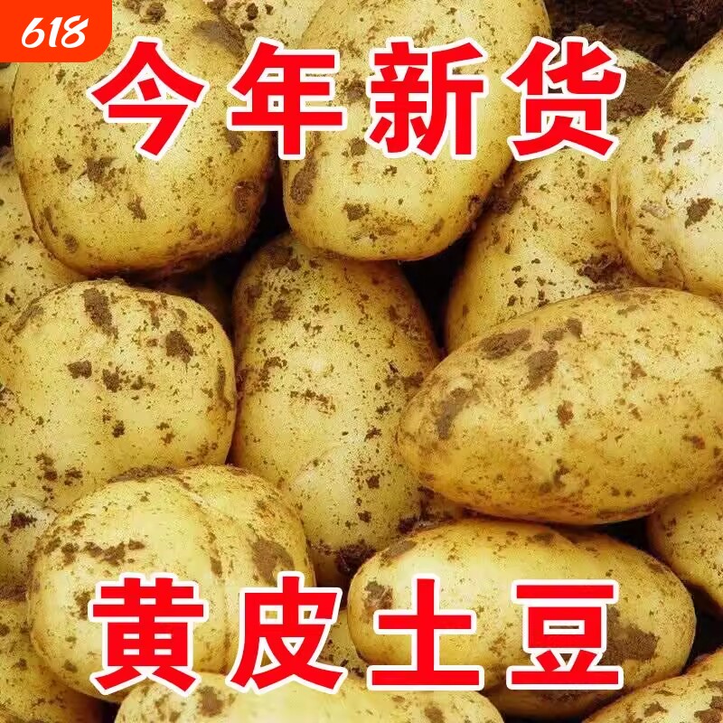 正宗新鲜中土豆5斤黄皮黄心当季土豆农家蔬菜带10斤马铃薯