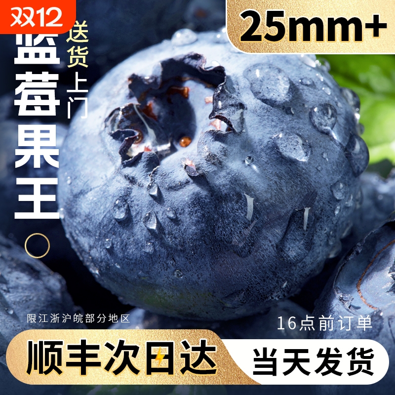 【当天发货】蓝梅果王|顺丰包邮