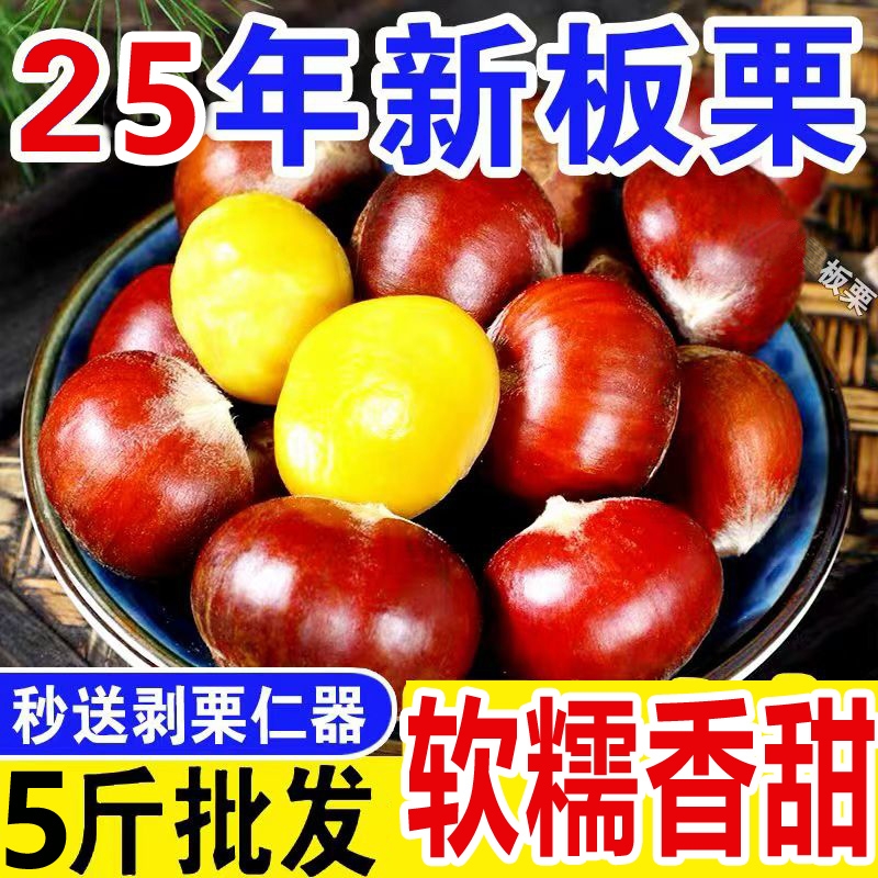 25年新鲜板栗生栗子老品种现摘现发带壳软糯香甜农家高山栗仁