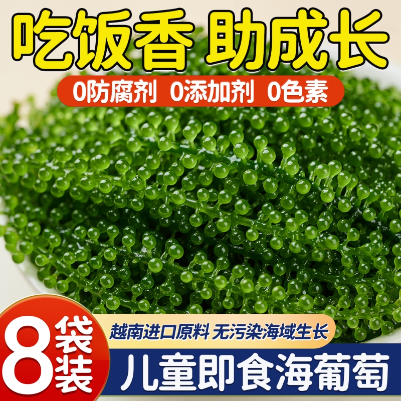 海葡萄儿童即食海葡萄植物500g海藻凉拌菜盐渍水葡萄爆珠浆海草