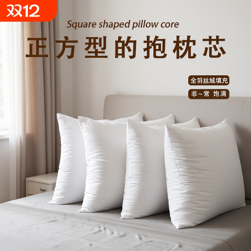 抱枕芯内胆45 50 60客厅沙发靠枕腰枕靠背垫套大床上靠垫方芯婚庆