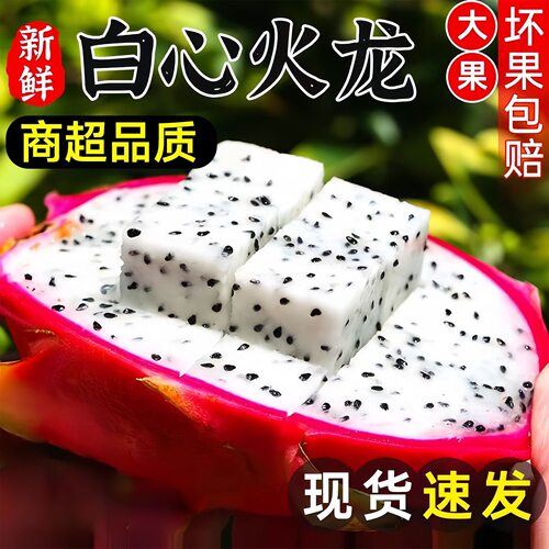 现货速发越南白心火龙果单果300g起新鲜应季热带水果大果火龙果