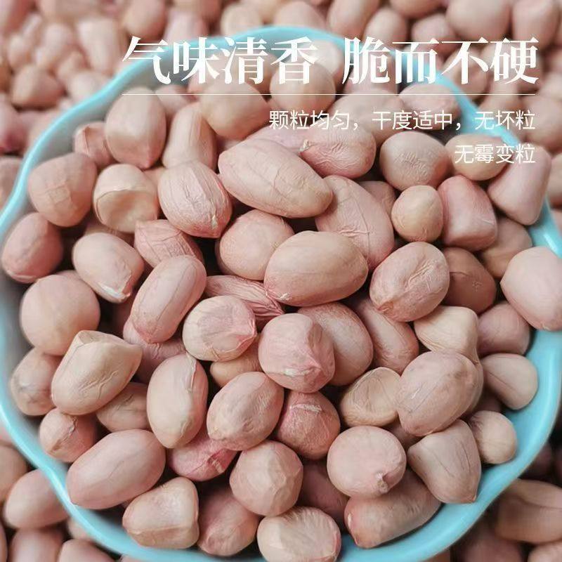 南阳白沙生花生仁花生米 优质大白沙不带壳批发价 晒干干货