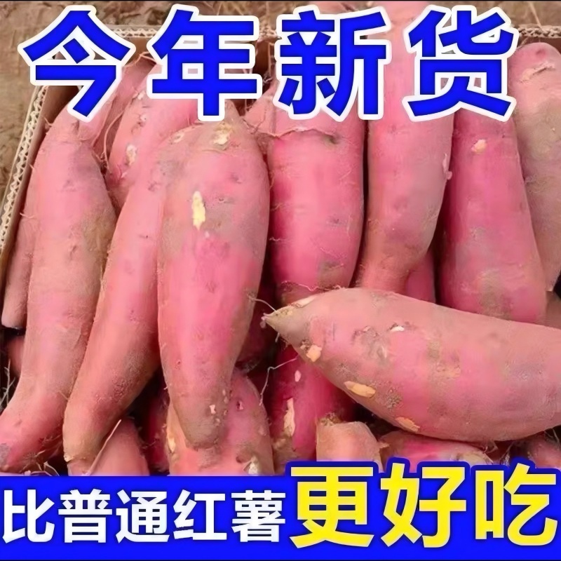 新鲜西瓜红红薯红心蜜薯糖心