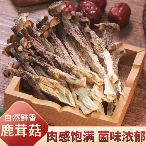 鹿茸菇干货500g鹿茸菌特产级菇蘑菇干食材商用批发炖汤美味新鲜