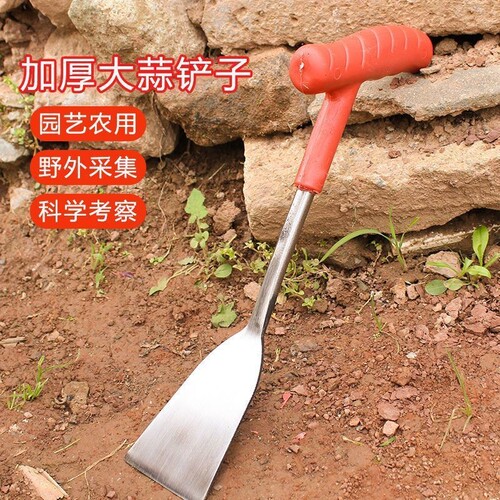 德国荠菜野菜神器铲子铁铲园艺种花特快种菜除草工具挖土拔草户外