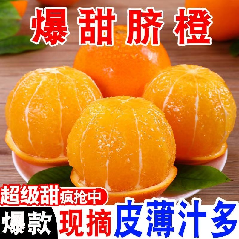 正宗新鲜现摘早鲜橙橙子脐橙酸甜当季应季水果纽荷尔脐橙果园