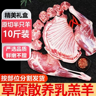 羊肉新鲜半只羊10斤滩羊后腿肉羔羊肋排手把肉羊蝎子食材精美礼盒