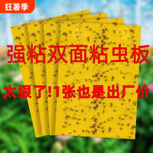 双面粘虫板大棚专用|千人回购