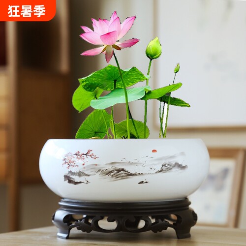 陶瓷水仙花盆无孔|超1000次加购