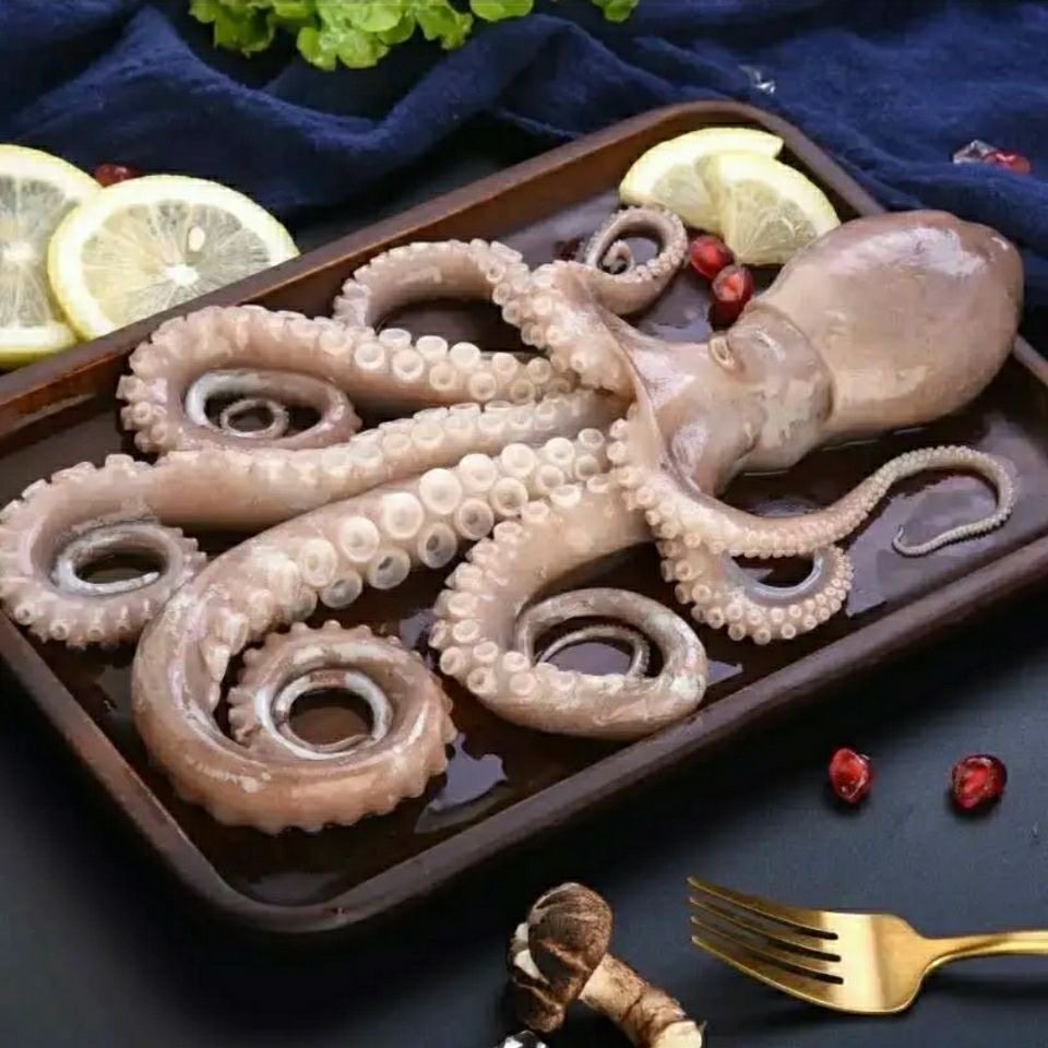 海鲜长腿八爪鱼网红活体冷冻鱿鱼生鲜新鲜批发爆头八爪鱼大号