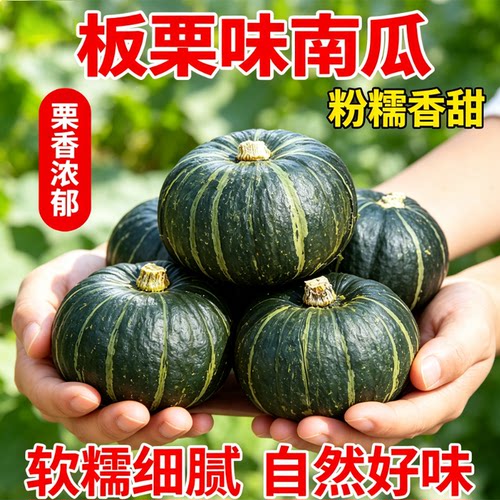贝贝南瓜板栗味婴儿辅食
