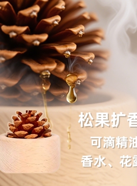 风油精花露水无火香薰扩散器松果扩香木摆件车载精油持久家用留香