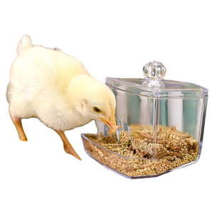 芦丁鸡喂食器自动饮水器卢丁鸡鹌鹑育雏食盒食盆下料器用品喝水