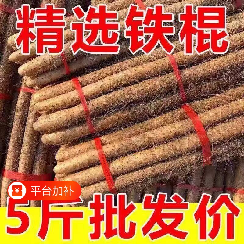 正宗河南焦作温县垆土铁棍山药新鲜现挖粉糯怀淮山生铁杆包邮甘甜
