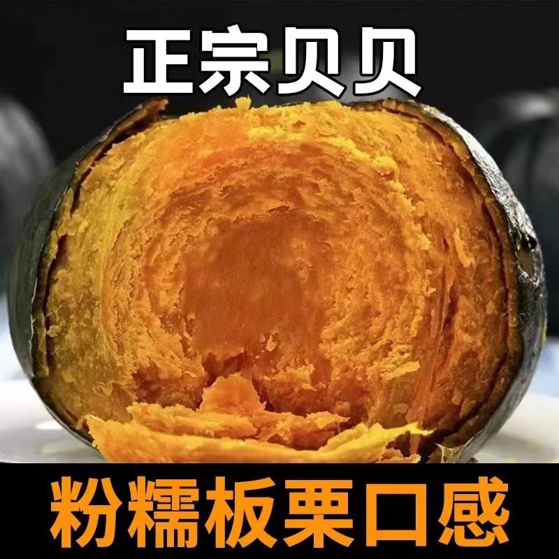内蒙真贝贝南瓜正宗板栗味小南瓜新鲜老南瓜粉糯香甜婴儿产地直发